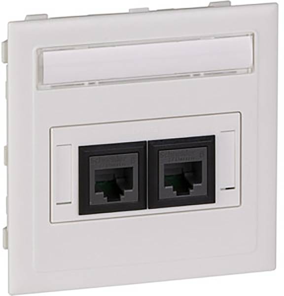 Double network socket in a white wall plate, suitable for connecting Ethernet cables in offices or flats.