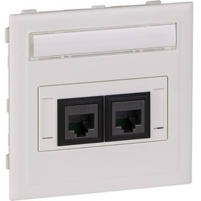 Double network socket in a white wall plate, suitable for connecting Ethernet cables in offices or flats.