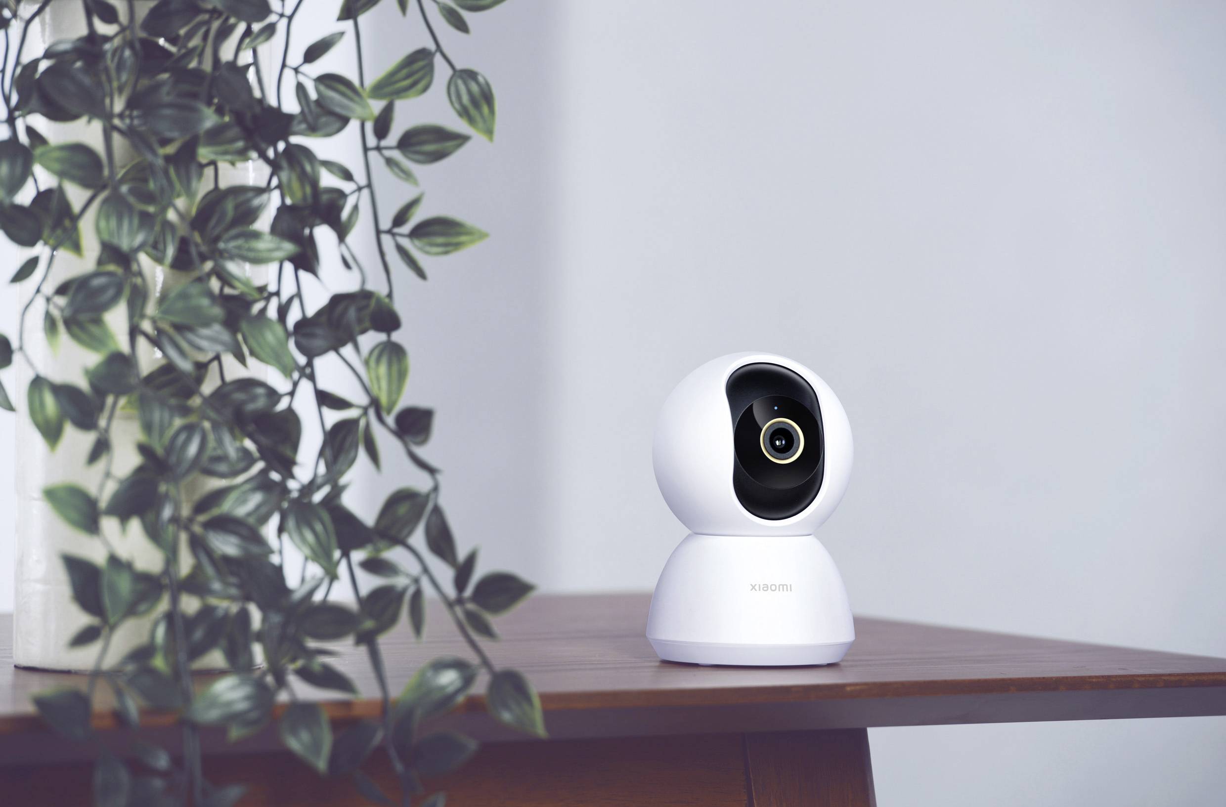 Surveillance camera on a table next to a plant. The camera is spherical and modern, sitting on a white base.