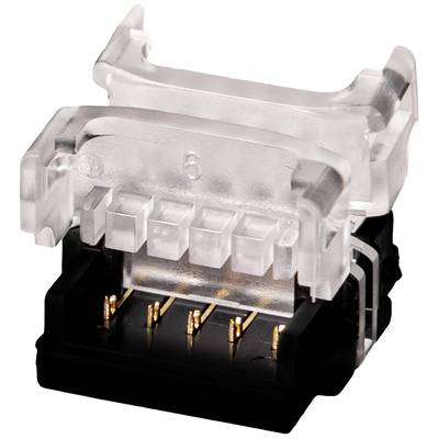 A RJ45 network plug with a transparent plastic cover and gold contacts is shown.
