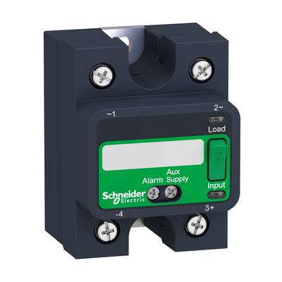 Electrical switching device with a green label displaying 'Schneider Electric'. Includes terminals for load and input.