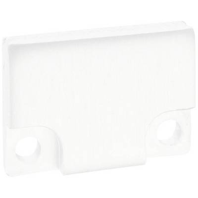 White plastic part with two round holes. The rectangular object has rounded corners and a raised edge on top.