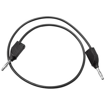 A black cable with two banana plugs at the ends; for connecting electronic devices.