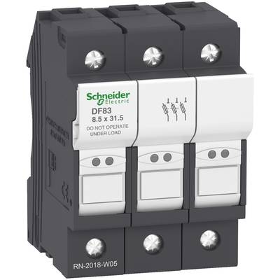 Schneider Electric DF83 Fuse holder 4 pc(s)-0