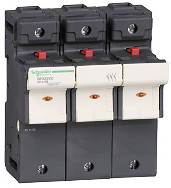 Schneider Electric DF223VC Fuse holder 2 pc(s)