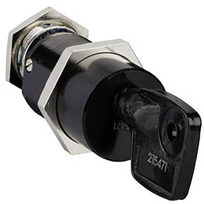 Schneider Electric LV833175SP Lock           1 pc(s)