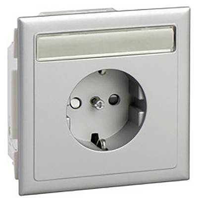 Silver socket with earth pin and rectangular frame; suitable for European plugs.