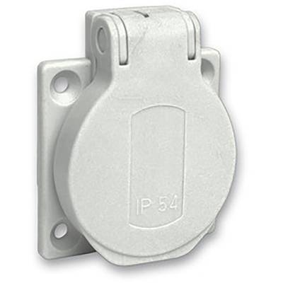 White plastic socket with round cover, IP54 protection rating, mounted on a wall plate with two mounting holes.