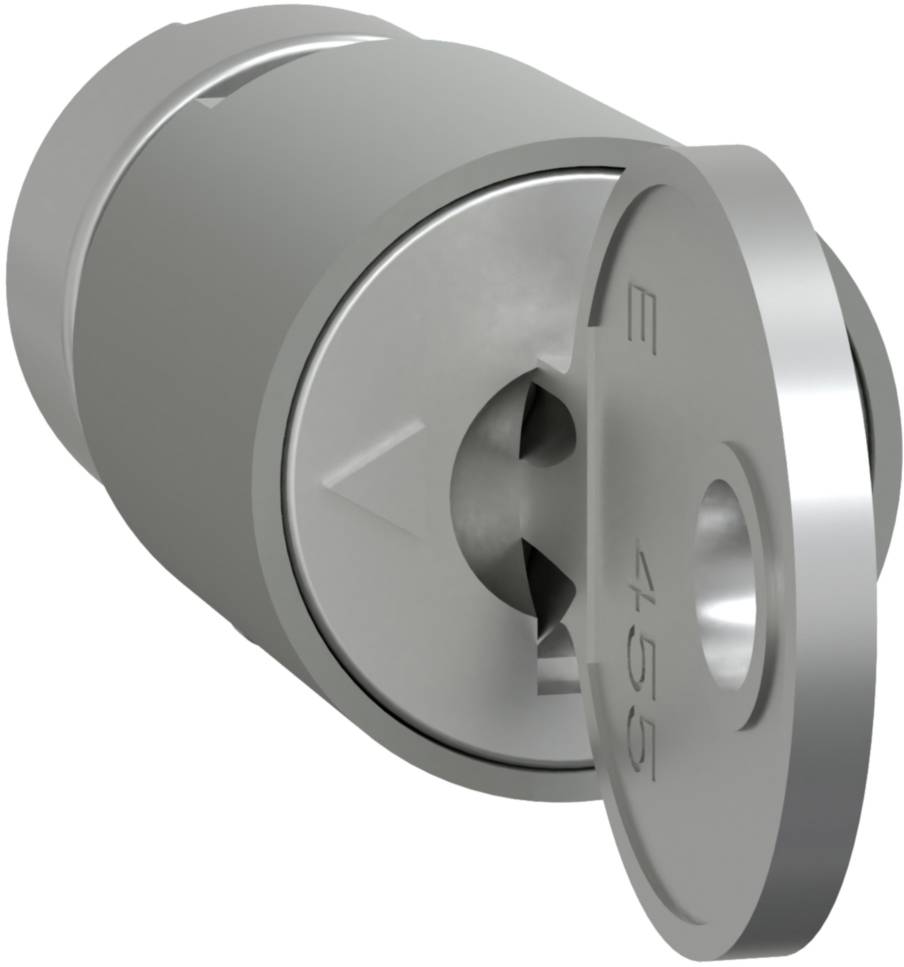 Schneider Electric LVS07941 Cylinder lock 1 pc(s)