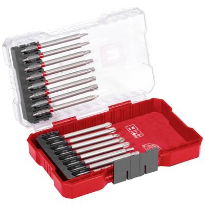 An open, transparent case with red accents holds twelve silver screwdriver bits in two rows, arranged by size.