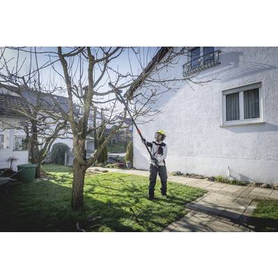 A person is cutting high branches from a tree in a garden in front of a house using an electric pruning saw. The sun is shining brightly.