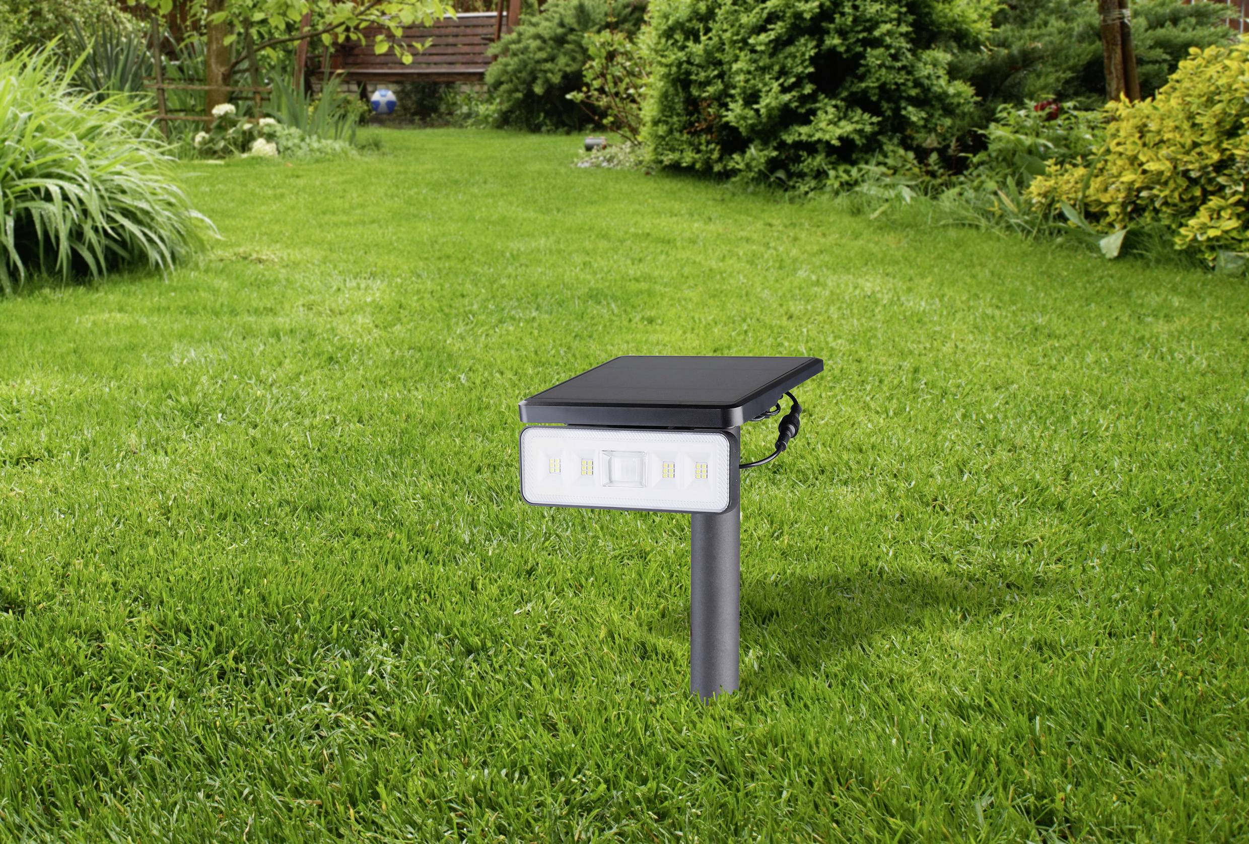 A solar lamp on a lawn with a background of bushes and trees.