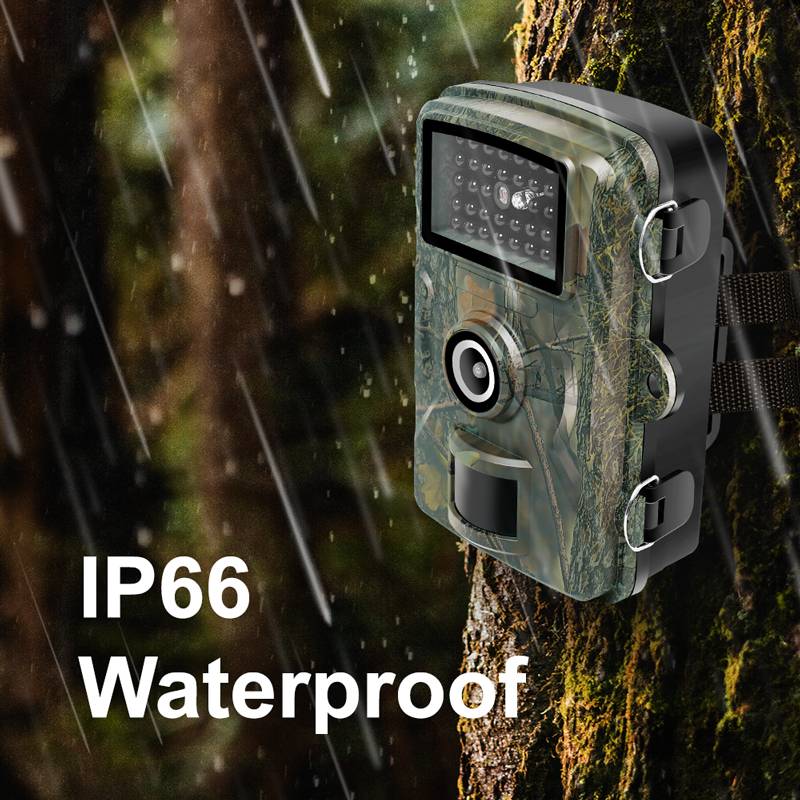 A weather-resistant wildlife camera with camouflage print, attached to a tree trunk in the rain. Text: 'IP66 Waterproof'.