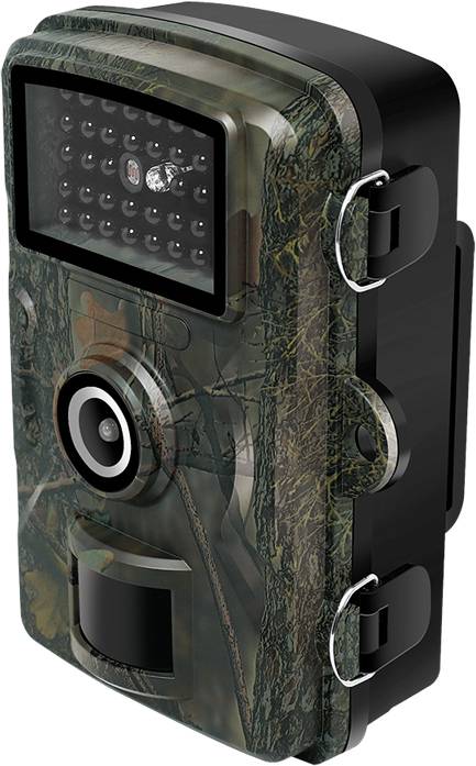 Buy LogiLink WC0065 Wildlife camera Black LEDs, Audio recording
