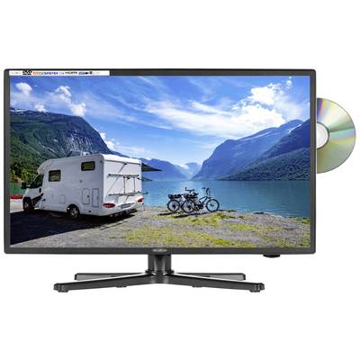 Image of Reflexion LDDW190+ LED TV 47 cm 19 inch EEC F (A - G) CI+, DVB-S, DVB-S2, DVB-C, DVB-T2 HD, HD ready, PVR ready Black