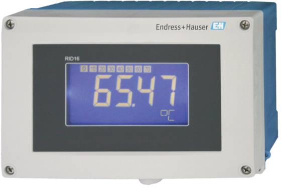 Electronic display device with digital readout shows '65.47 °C'. Marked with 'Endress+Hauser' logo in the top right corner.