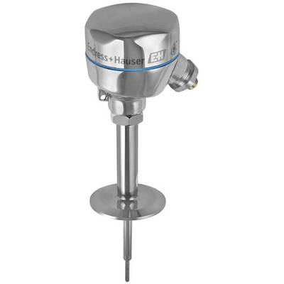 A temperature-resistant measuring instrument made of stainless steel with 'Endress+Hauser' inscription, suitable for industrial applications.