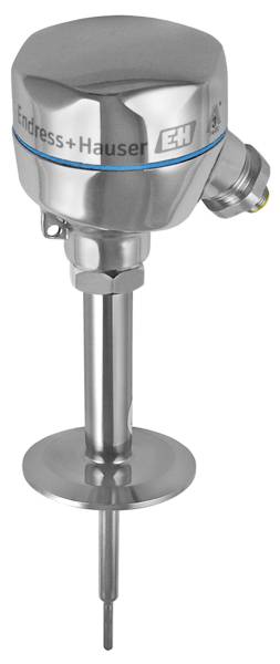 An Endress+Hauser stainless steel thermometer for industrial temperature measurement, with a robust construction and blue marking line on the head.