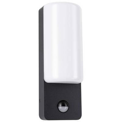 Exterior light with a rectangular, black housing and a white, cylindrical light diffuser; a motion sensor is located at the bottom.