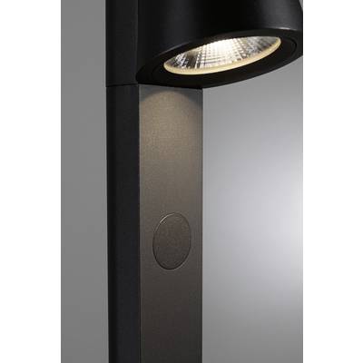 A modern, black standard lamp with a simple design, casting light onto a wall, emphasises the elegant, minimalist appearance.