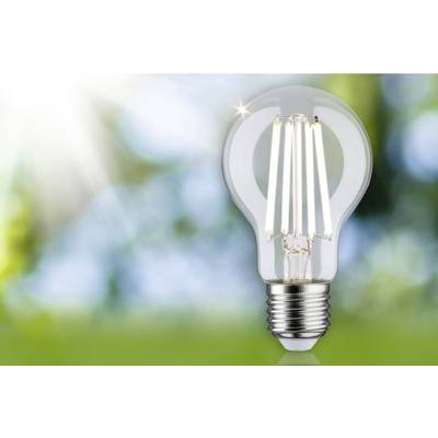 Light bulb against a blurred garden background. Sunrays on the left side illuminate the scene, emphasising energy and enlightenment.