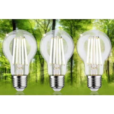 Three illuminated light bulbs against a backdrop of blurred green trees, symbolising energy efficiency and sustainability.