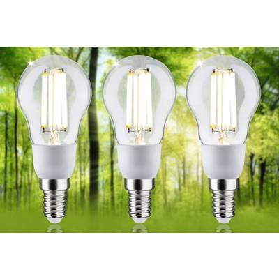 Three glowing light bulbs against a green, wooded background, symbolising sustainable and environmentally friendly energy.