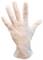 Hand wearing a transparent disposable glove, slightly raised against a white background.