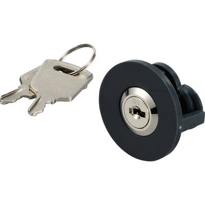Two silver keys on a ring next to a black cylindrical lock, suitable for furniture or cupboards.
