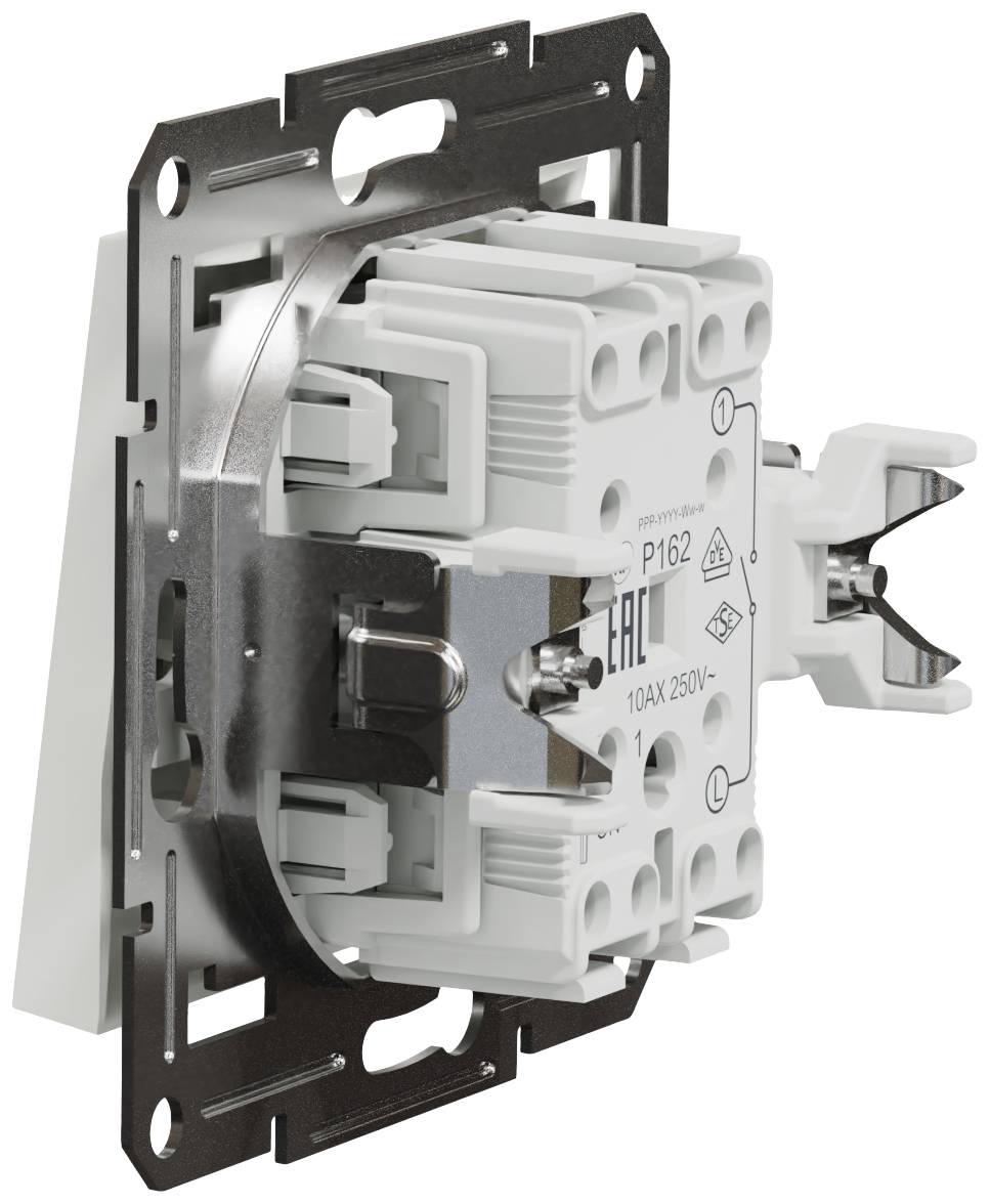 Switch in close-up with silver frame and white connection points, suitable for 250 V and 10 AX; EAC certification visible.