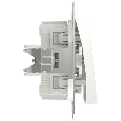 Side view of a wall switch. Shows the internal mechanism and connecting elements of the electrical switch unit.