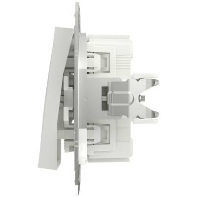 Side view of an electrically installable wall switch with housing and mounting mechanisms, suitable for interior areas.