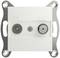 White socket cover with two connections, labelled 'TV' and 'SAT', mounted on a metal bracket.