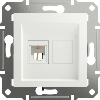 A white network socket with an RJ45 port and empty field, mounted on a metal plate.