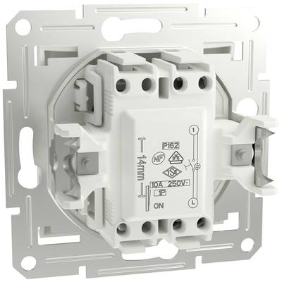 Back of light switch with screw terminals and technical specifications printed: 10A, 250V. Suitable for wall mounting.