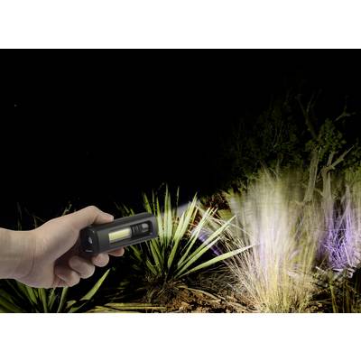 'A person is holding a torch, illuminating plants in a dark environment.'<br><br>Note: In British English, "torch" is used instead of the American "flashlight", and the translation maintains the original sentence's structure and meaning.