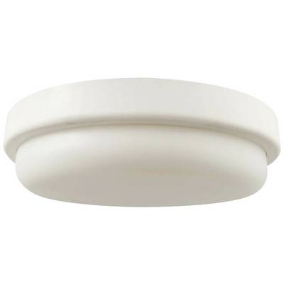 A round, white, flat ceiling light without any visible ornamentations or details.