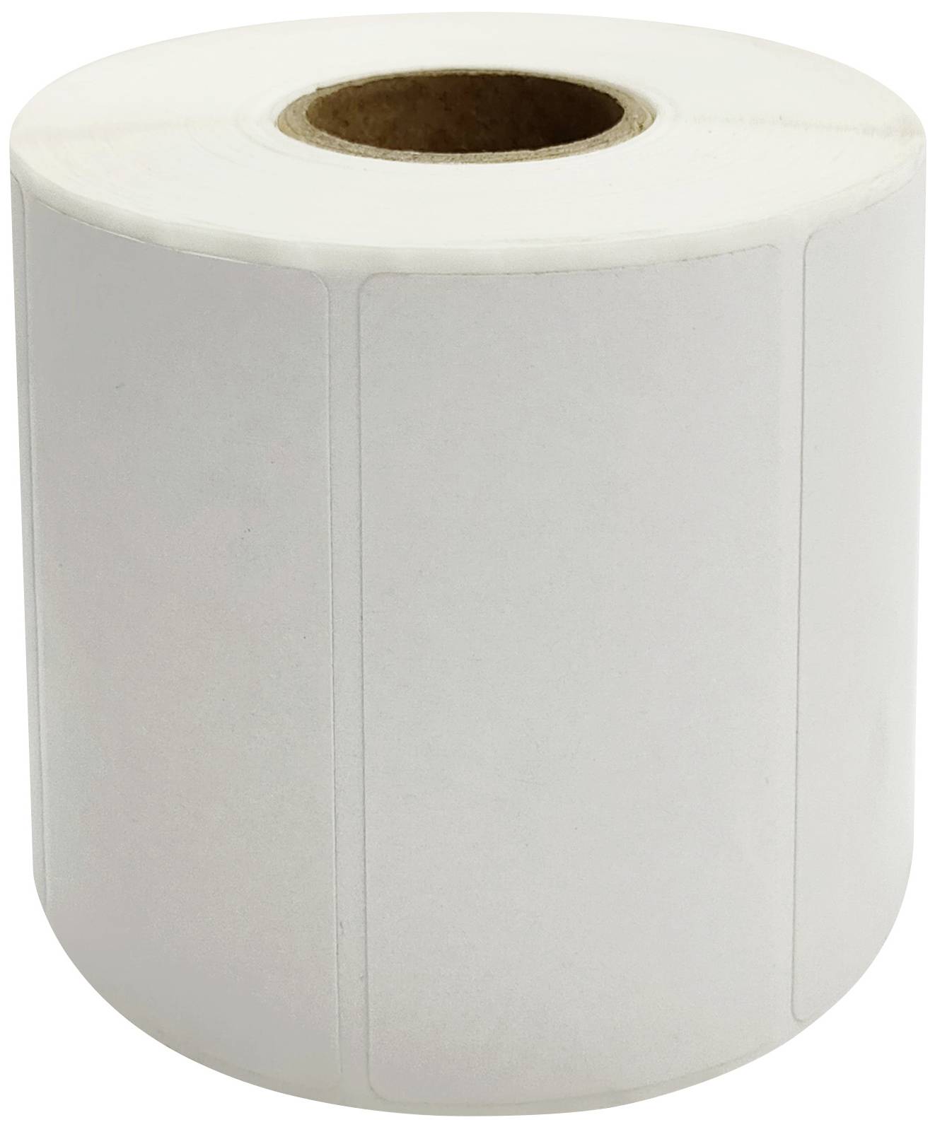 Renkforce Label roll 58 x 30 mm Direct thermal transfer paper White 800 pc(s) Strongly adhesive RF-5998012 Multi-purpose labels