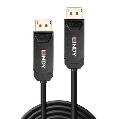 Lindy DisplayPort cable with two connectors, one marked 'Source' and the other marked 'Display', on a white background.