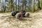 A remote-controlled car drives over uneven terrain in a forest. The car has large tyres and is in motion, surrounded by trees.