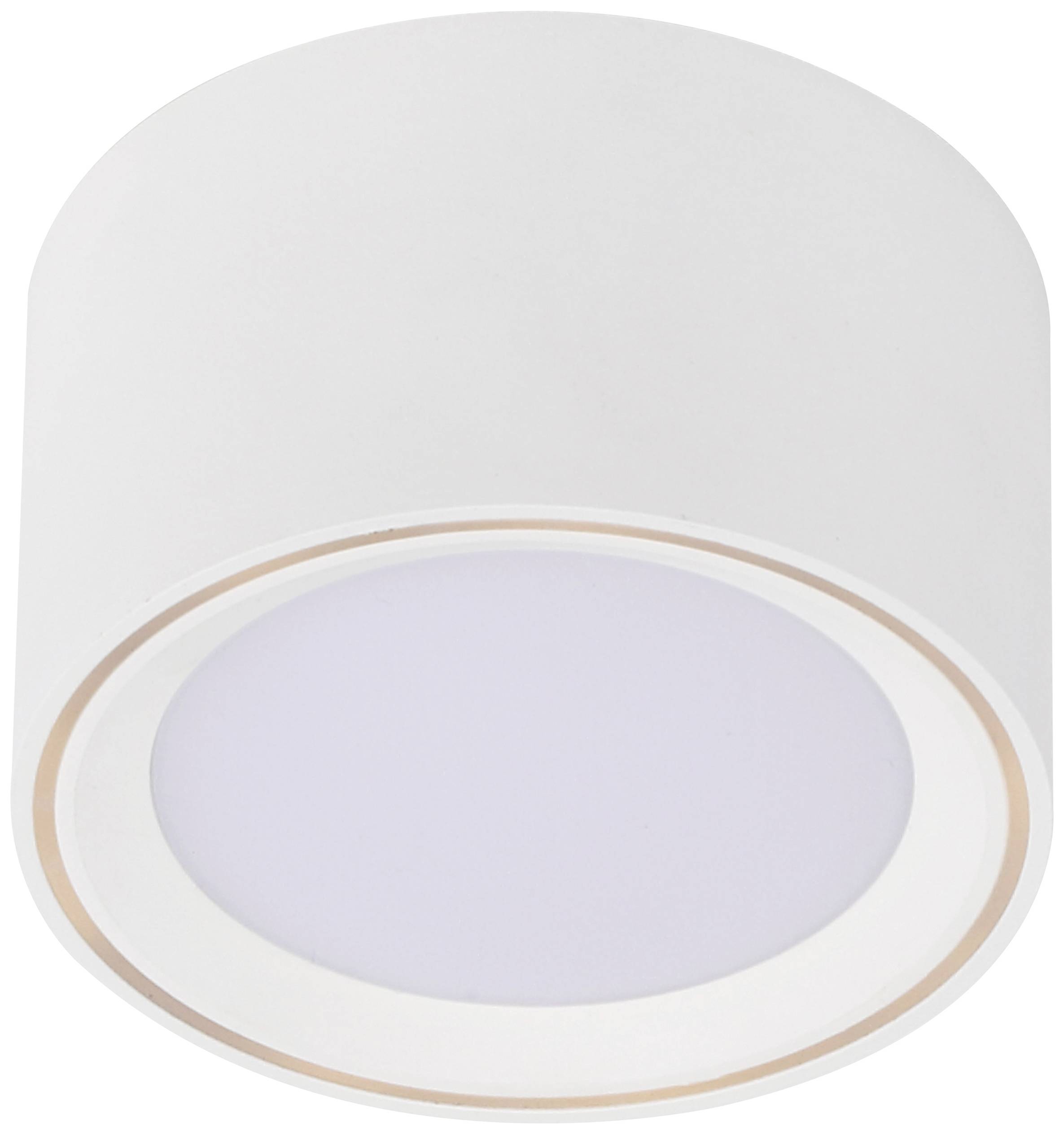Round, modern ceiling light with white casing and diffused light cover, suitable for contemporary interiors.