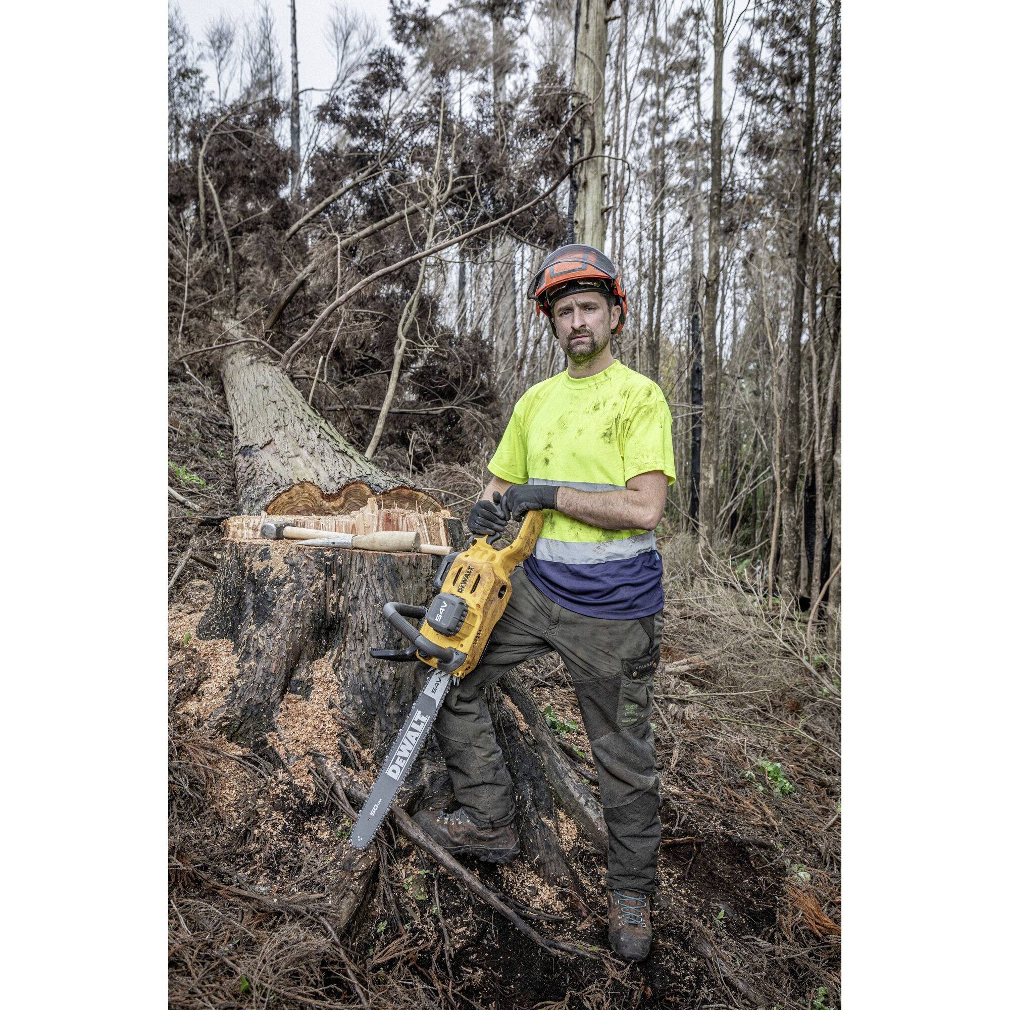 A person in work attire stands in the woods next to a felled tree stump, holding a chainsaw and wearing a safety helmet.