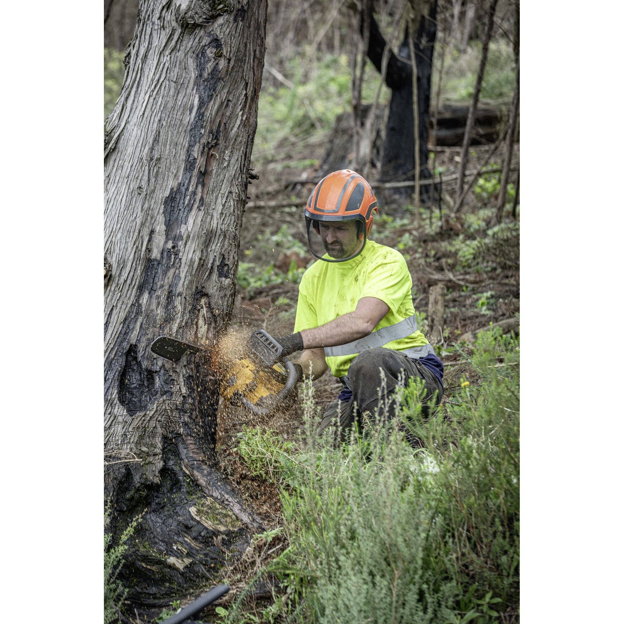 A person wearing a hard hat and gloves is sawing a tree trunk with a chainsaw in a forest.