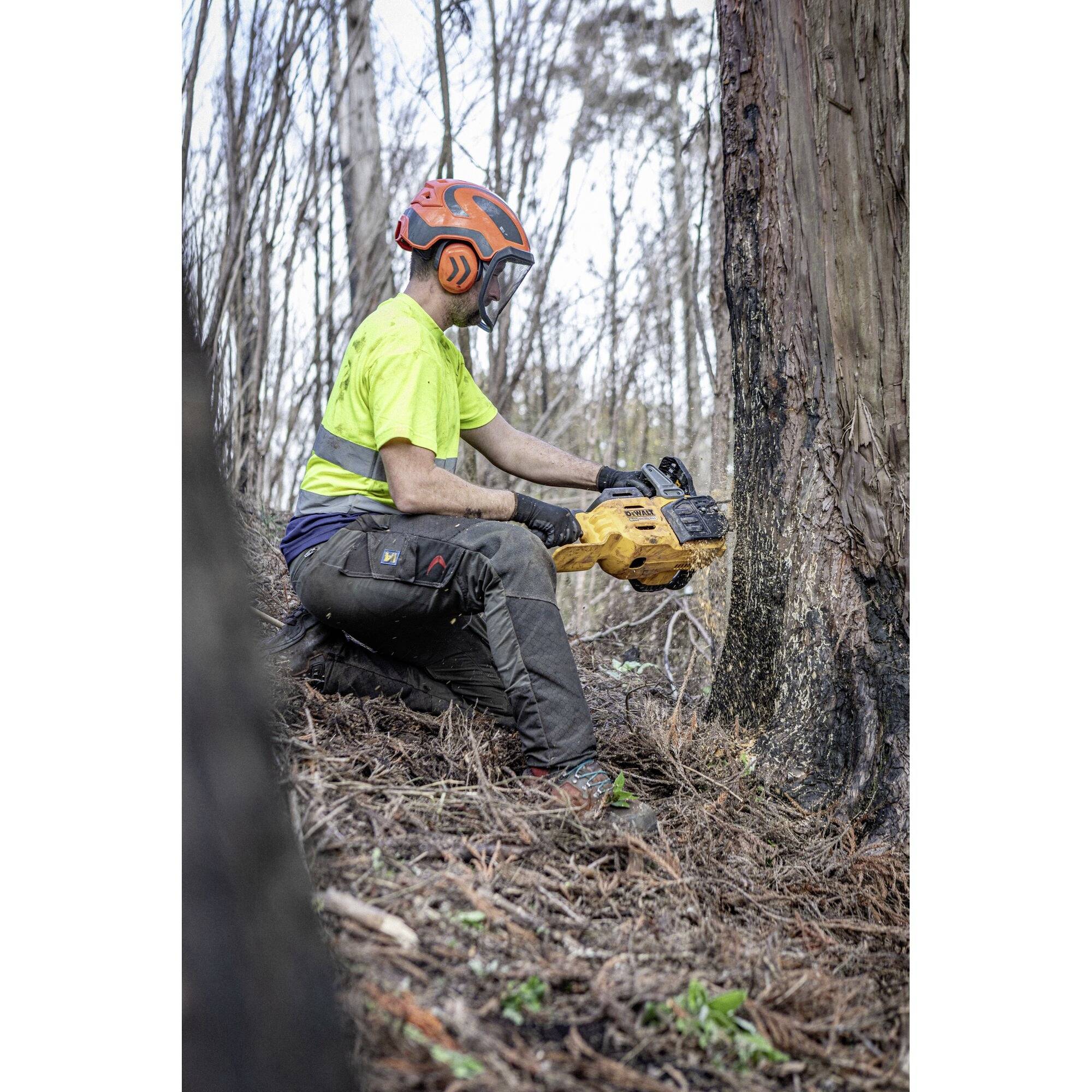 A person in protective clothing is felling a tree with a chainsaw in a woodland area, likely as part of forestry operations.