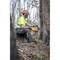 A person in protective clothing is felling a tree with a chainsaw in a woodland area, likely as part of forestry operations.