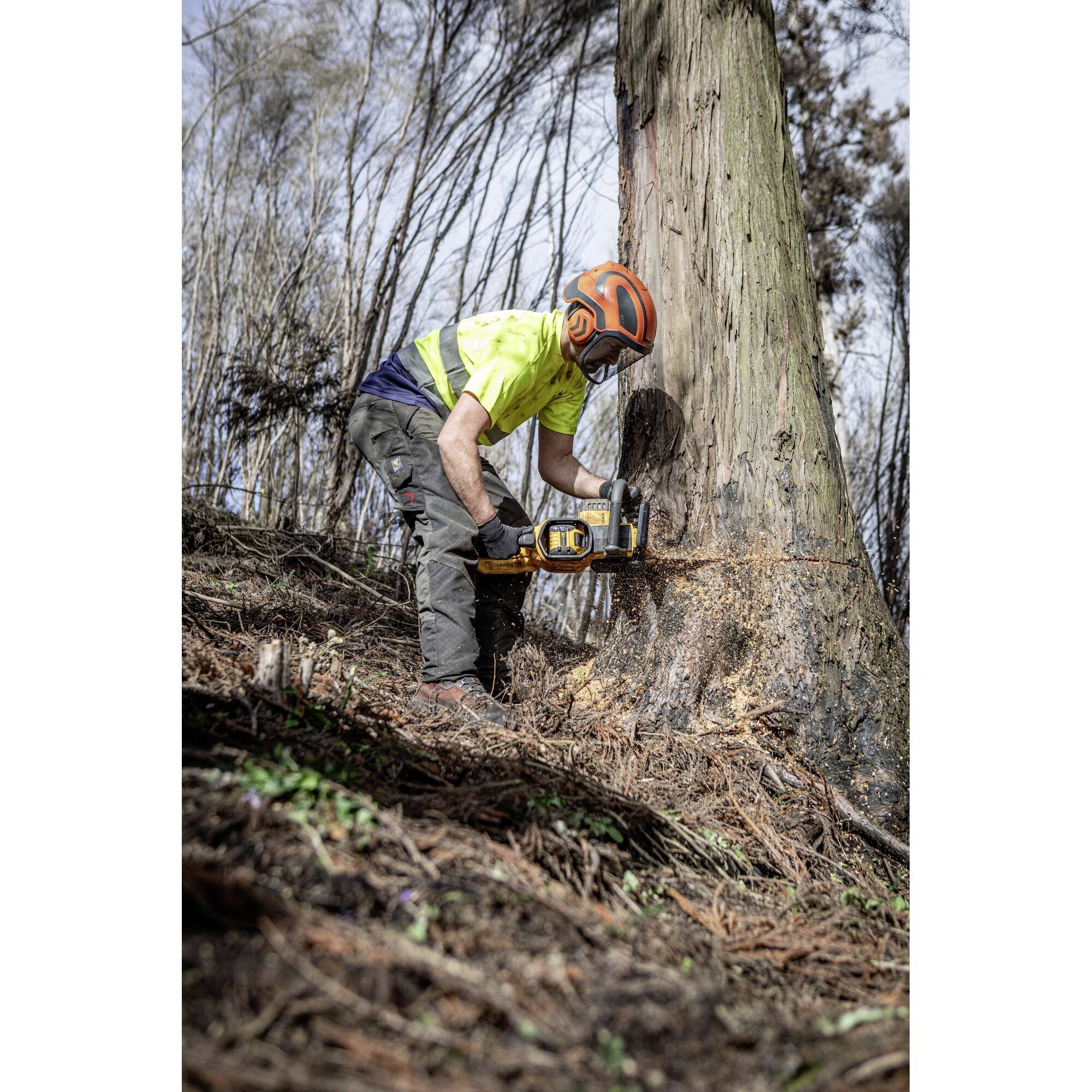 A worker wearing a yellow hard hat and high-visibility vest is cutting down a large tree with a chainsaw in a wooded area.