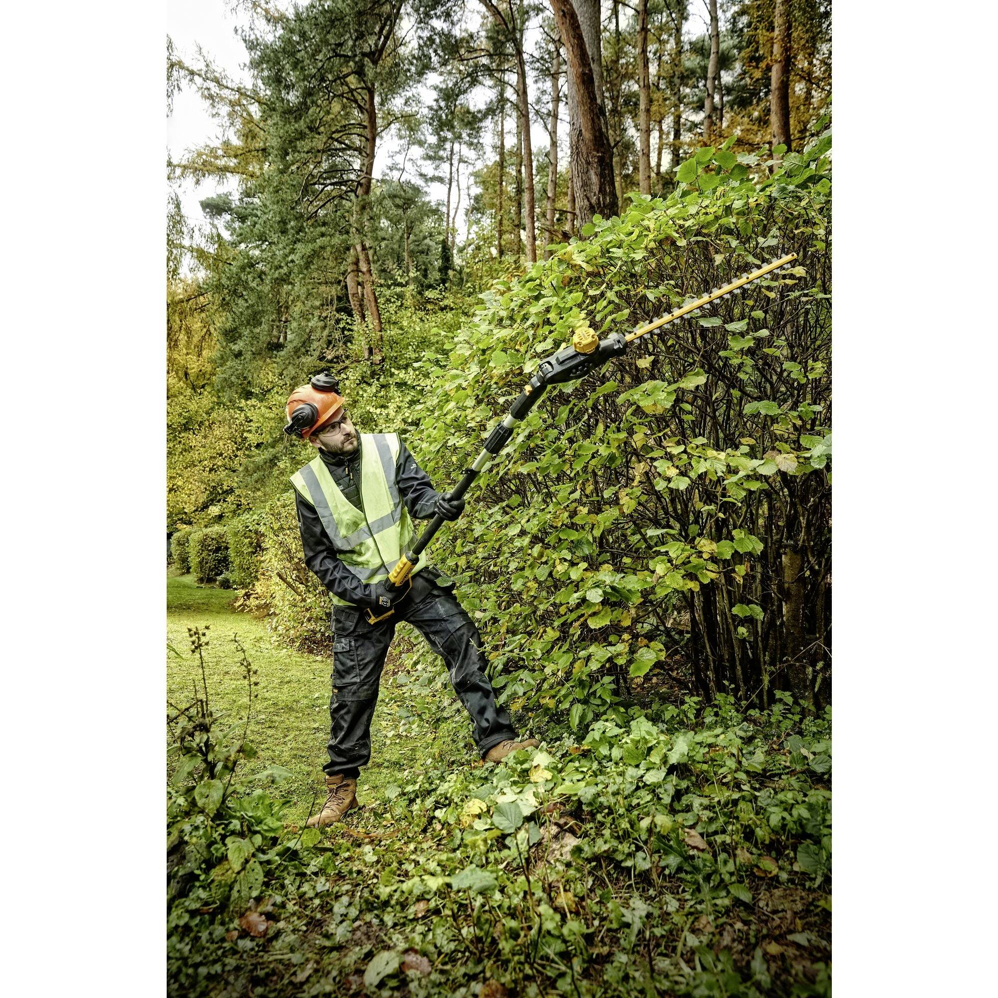 A gardener in protective clothing is trimming a hedge in the woods with a long pair of hedge trimmers.
