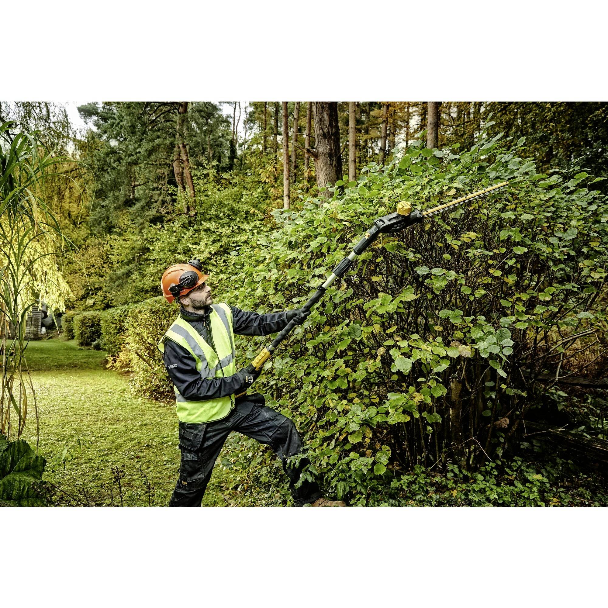 A person wearing safety gear is trimming a hedge with a telescopic hedge trimmer in a wooded garden.