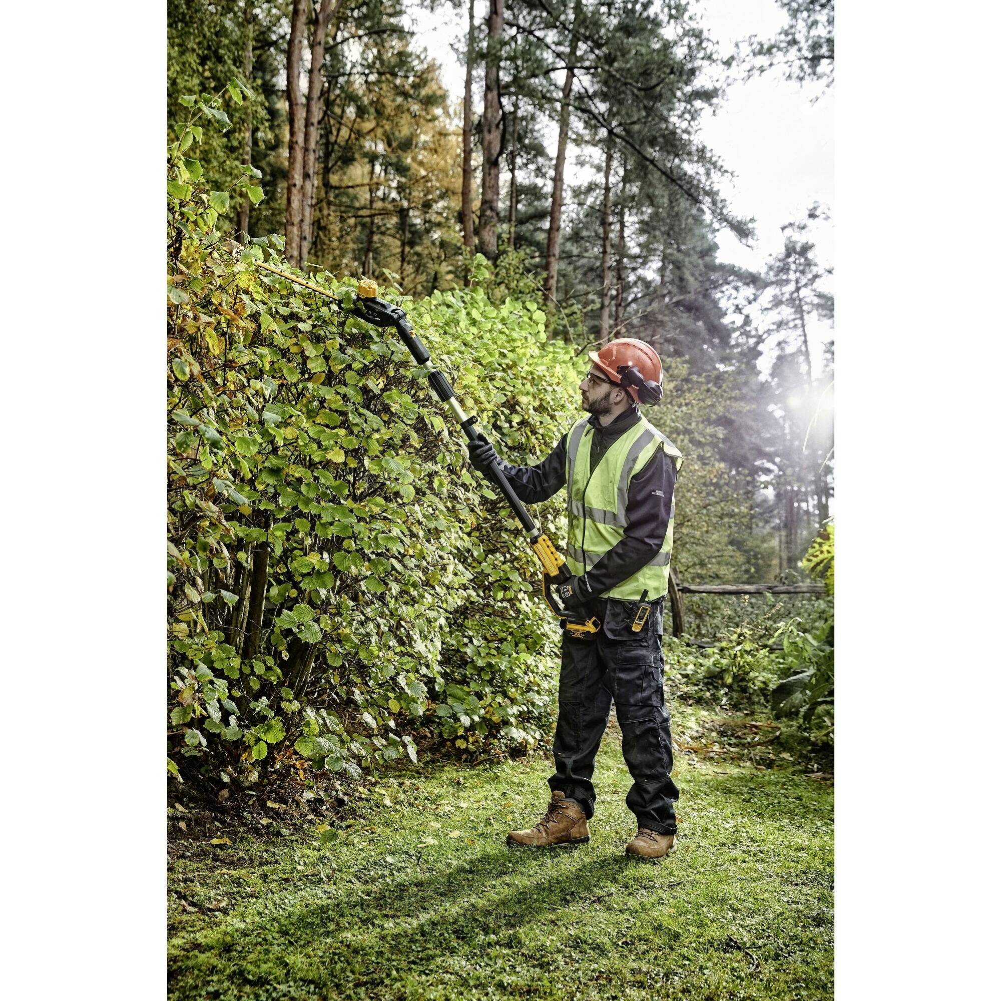 A worker in safety clothing is using an electric hedge trimmer to cut a tall hedge in a woodland area.