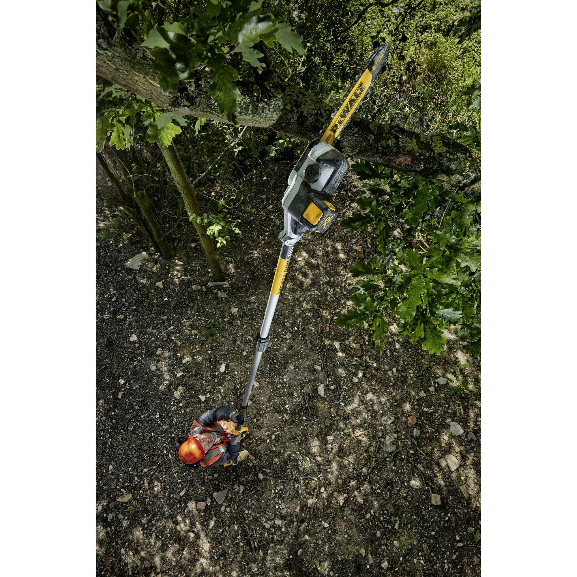 A man wearing a helmet is cutting branches from a tree with a long telescopic hedge trimmer. Dense foliage surrounds him.